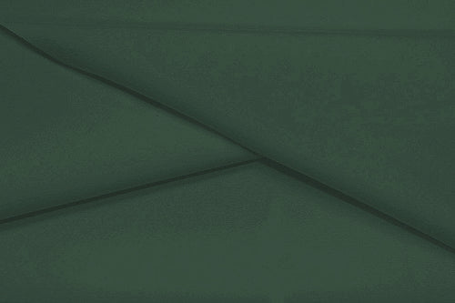 AT228R – Next Gen – Recycled Polyester Spandex Tricot | EBI Fabrics