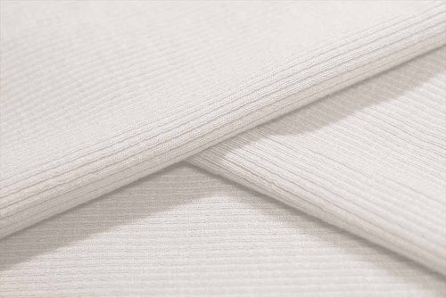 HK488 – Embody – Tencel Lyocell Spandex Rib Jersey | EBI Fabrics