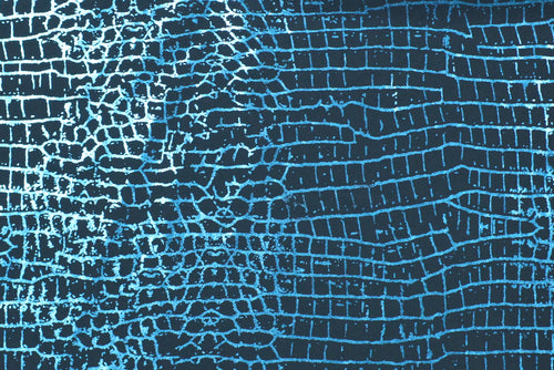 NT1930 – EBIEcovibe – Digital Nylon Spandex Tricot Print | EBI Fabrics