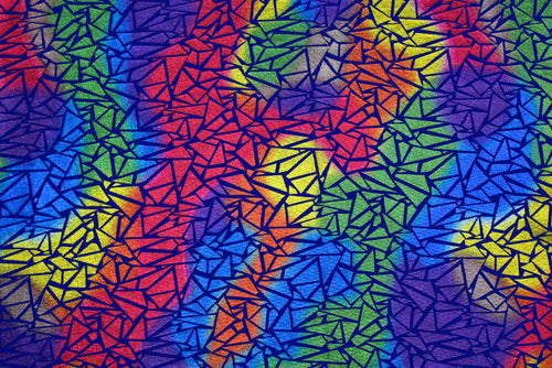 NTF1101 – EBIEcovibe – Digital Nylon Spandex Tricot Print | EBI Fabrics