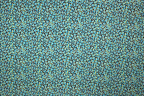 NTG1051 – EBIEcovibe – Digital Nylon Spandex Tricot Print | EBI Fabrics