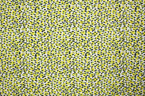 NTG1052 – EBIEcovibe – Digital Nylon Spandex Tricot Print | EBI Fabrics