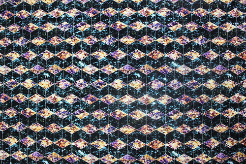 NTG1085 – EBIEcovibe – Digital Nylon Spandex Tricot Print | EBI Fabrics