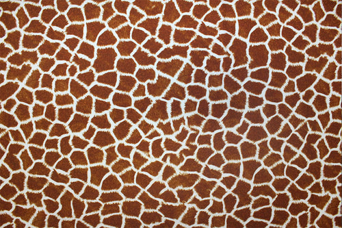 NTG1206 – EBIEcovibe – Digital Nylon Spandex Tricot Print | EBI Fabrics