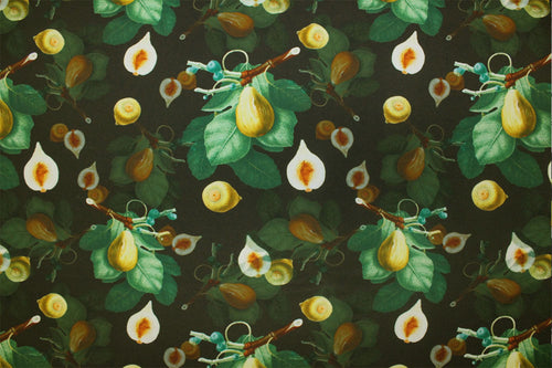 NTG1208 – EBIEcovibe – Digital Nylon Spandex Tricot Print | EBI Fabrics