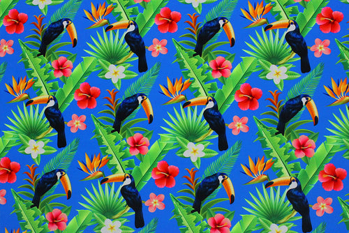 NTG1274 – EBIEcovibe – Digital Nylon Spandex Tricot Print | EBI Fabrics