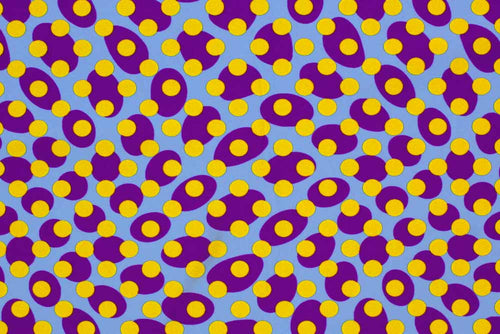 NTG1352M – EBIEcovibe – Digital Nylon Spandex Tricot Print | EBI Fabrics