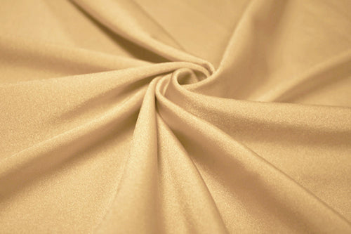 NTL2 – Chic – Shiny Nylon Spandex Tricot | EBI Fabrics