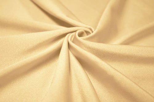 NTL2 – Chic – Shiny Nylon Spandex Tricot | EBI Fabrics
