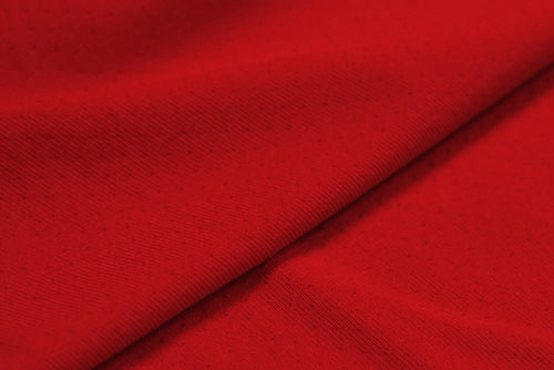 HKC933 - Nylon Spandex Mesh Jersey | EBI Fabrics