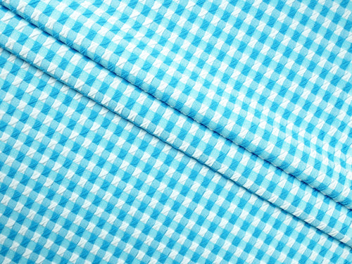 EL7020 - Crosscheck - Gingham Polyester Nylon Spandex Jacquard | EBI Fabrics